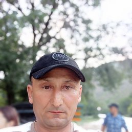 , 41, 