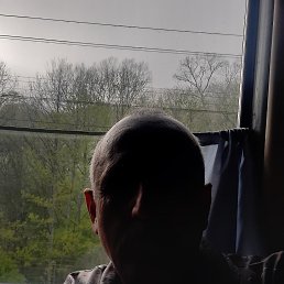 , 54, 