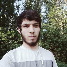 , 29, 