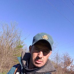 , 37, 