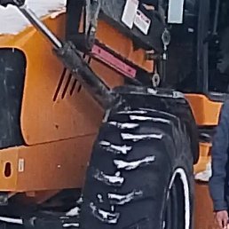 �����, �������, 44 ����