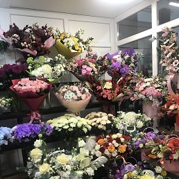 ���� ����, �������, 53 ���� - ��������� 8 ������� 2025