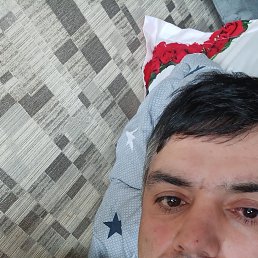 , 29 , 
