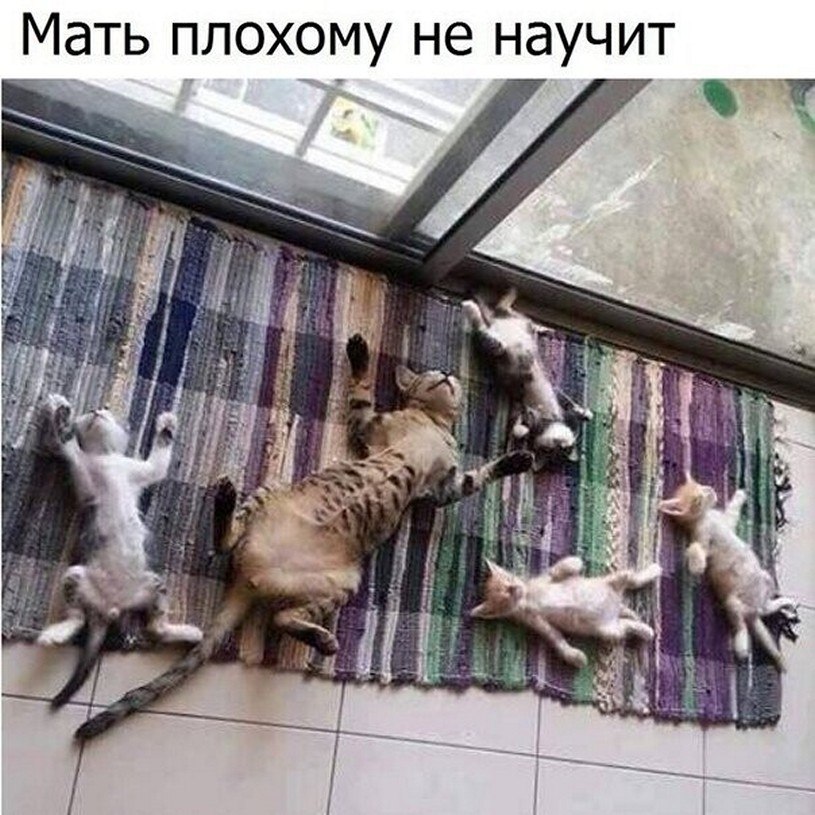 ? ,  ! - 14  2025  20:31
