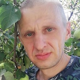 �������, �����, 37 ���