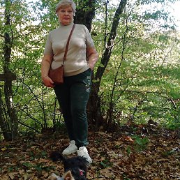 �������, ������, 68 ���