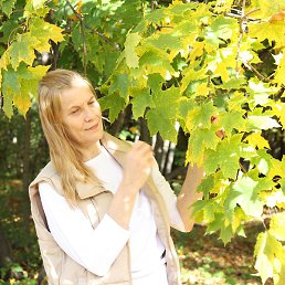 ���������, ���������, 54 ����