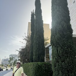 artur, 66 ���, ������