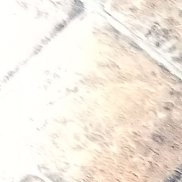 , 42 , 