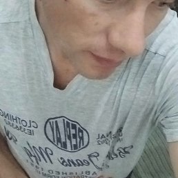 , 29, 