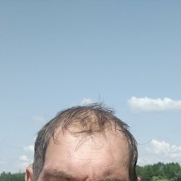 �����, 44 ����, ������