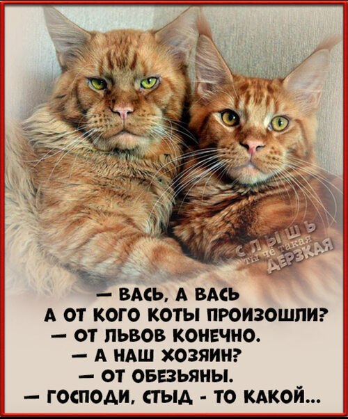 Всё будет хорошо! - 26 сентября 2025 в 20:19