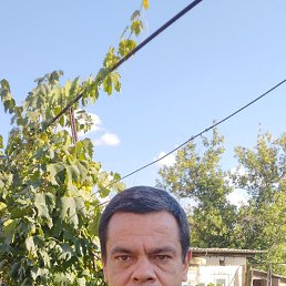 , 46, 