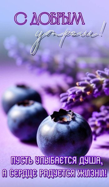   ,    . - 10  2025  07:06