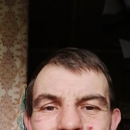 , 40, 