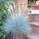 ���� ������, ������, 74 ���� - ��������� 19 �������� 2025 � ������ ���� ����������