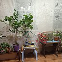 ���� ������, ����, 63 ���� - ��������� 27 ��� 2024 � ������ ���� ����������