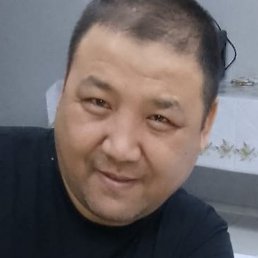 �����, �������, 46 ���