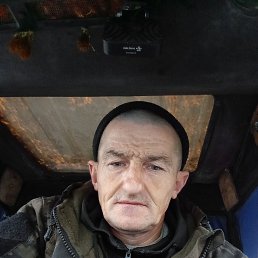 , 41, 