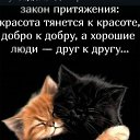 ���� �������, ���������, 45 ��� - ��������� 1 ������ 2026 � ������ ���� ����������