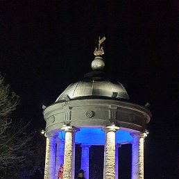 �����, ������, 49 ���