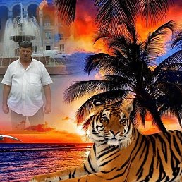 ��������, ������-��-����, 50 ���