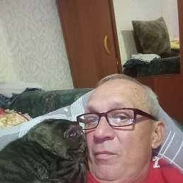 ����, �����������, 50 ���