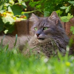 ���� ������, ������, 67 ��� - ��������� 2 ������ 2026