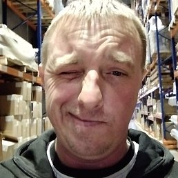 ���������, ������, 41 ���