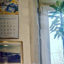 ���� ��������, ����, 55 ��� - ��������� 1 ���� 2025