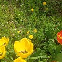 ���� ������, ���������, 57 ��� - ��������� 16 ������ 2025 � ������ ���� ����������