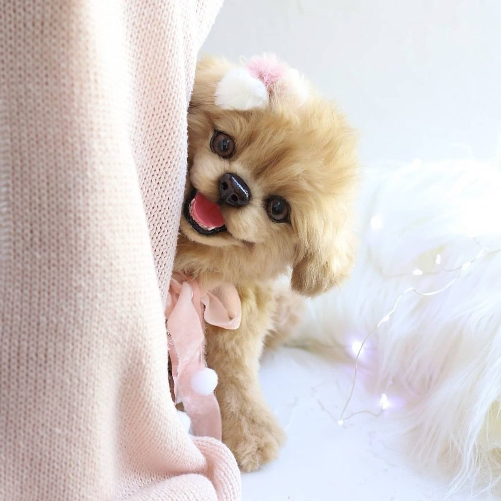 На первый взгляд кажется, что перед нами фотографии настоящих лисичек и щенков. Их выразительные ... - 5