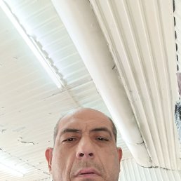 , 48, 