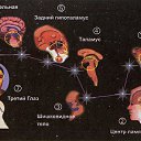  Lubomir_ss,  -  5  2025    