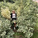 ���� �������, �����-���������, 51 ��� - ��������� 27 ������� 2025 � ������ ���� ����������