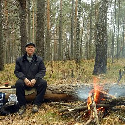 ������, ����������, 65 ���