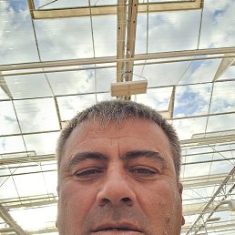 , 50, 