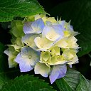  ˸, , 55  -  10  2024    