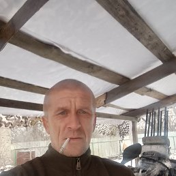 �����, 42 ����, ������