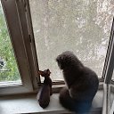 ���� Hrustbk, ������, 106 ��� - ��������� 24 ������� 2025 � ������ ���� ����������