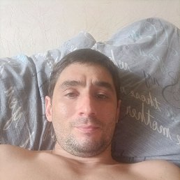 , 29, 