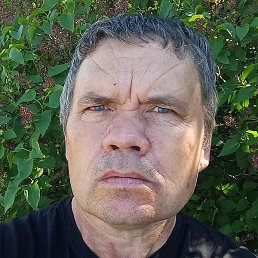 ���, ������, 44 ����