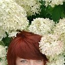 ���� ��������, ������ ��������, 53 ���� - ��������� 23 ������� 2025 � ������ ���� ����������