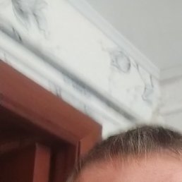, , 44 