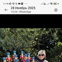���� �����, �����-���������, 64 ���� - ��������� 29 ������ 2025 � ������ ���� ����������