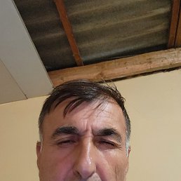 , 56, 
