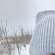 ����, 38 ���, ���������