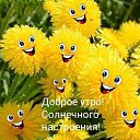 ���� �������, ���������� - ��������� 24 ��� 2026 � ������ ������ ��������