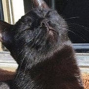 ���������, 28 ���, ������