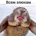 ���� �����, ����, 38 ��� - ��������� 2 ���� 2026 � ������ ���� ����������